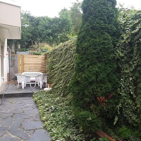 פרול Apartamento Con Pequeno Jardin En El Centro מראה חיצוני תמונה